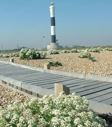 The boardwalk & lighthouse