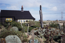 Derek Jarman's Famous House & Garden